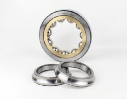 Four-point Angular Contact Ball Bearing
